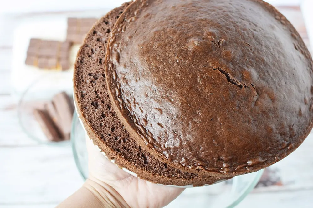 Holding two sliced chocolate cake rounds. 