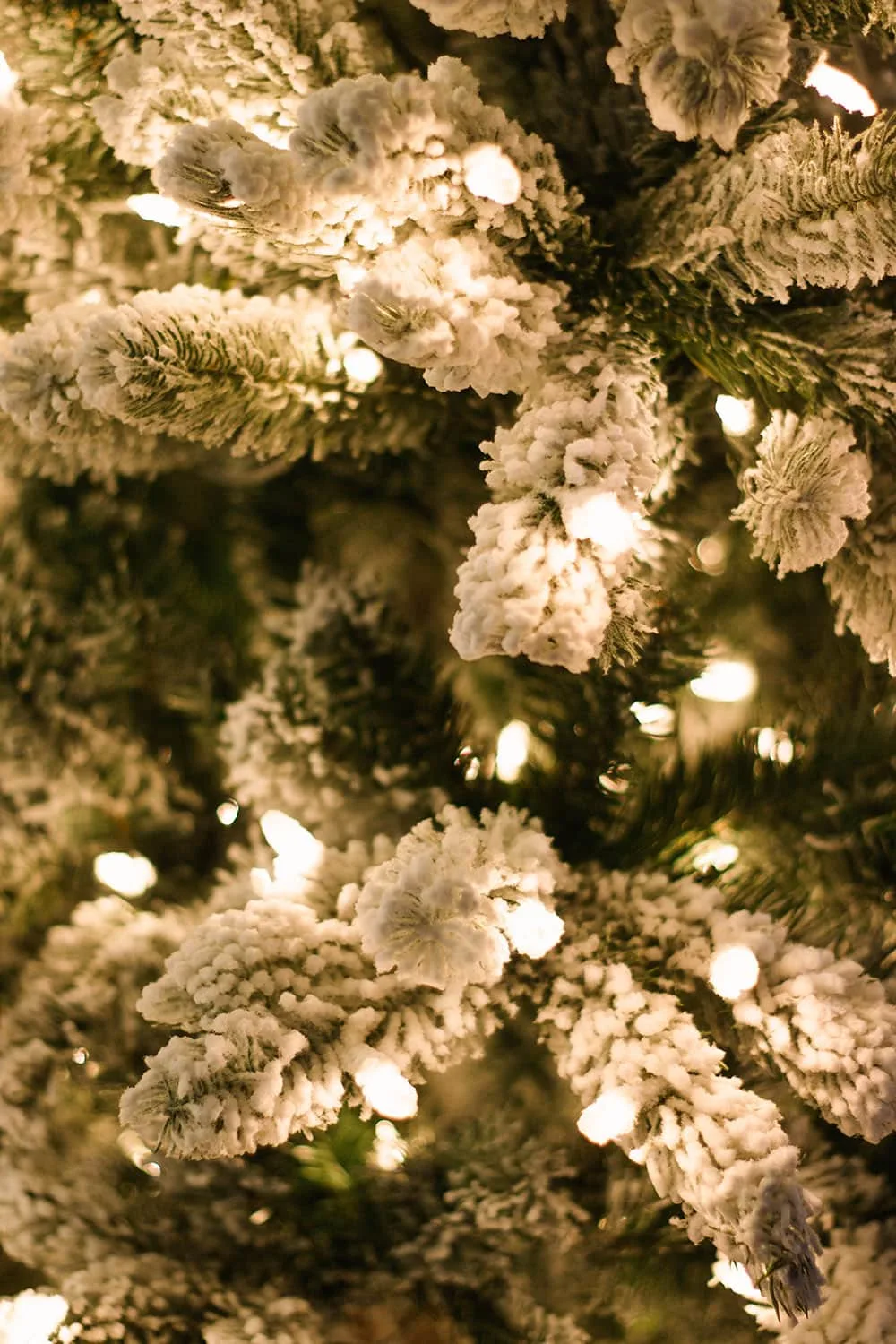 Closeup of frosted lights on christmas tree.