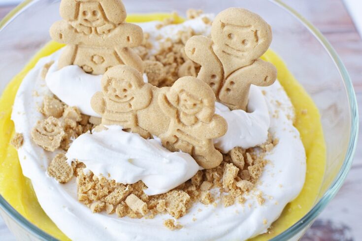 Gingerbread cookies on top of a pudding dessert.