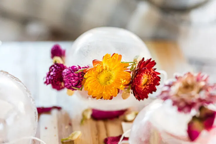 Clear tea orb with flowers around it.