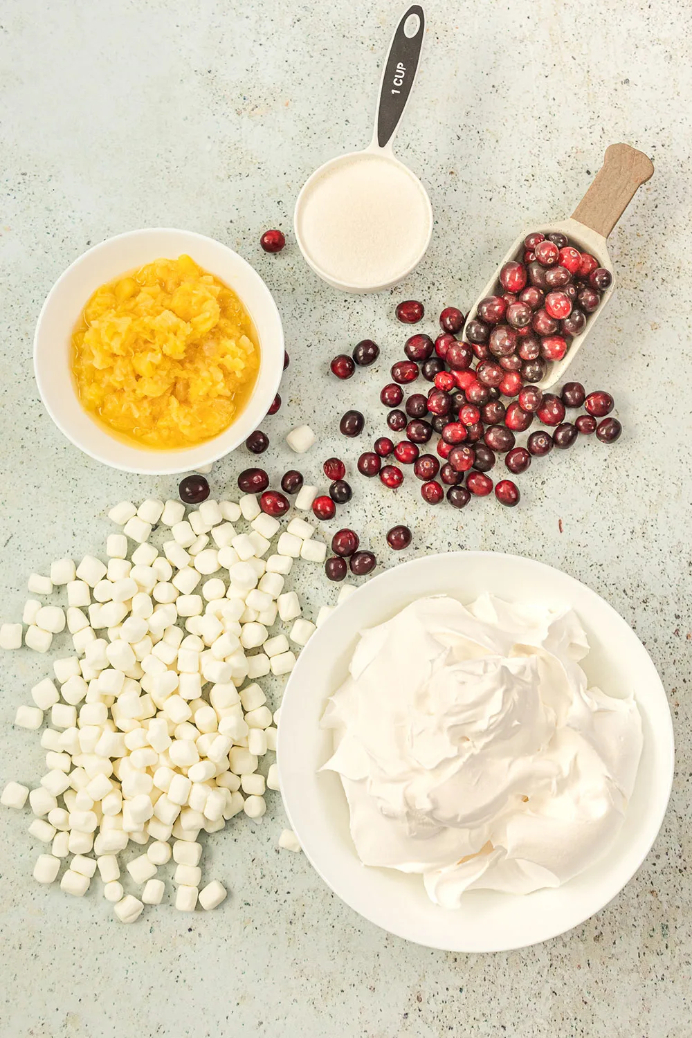 Cranberries, marshmallows, and other ingredients to make a fluffy salad. 