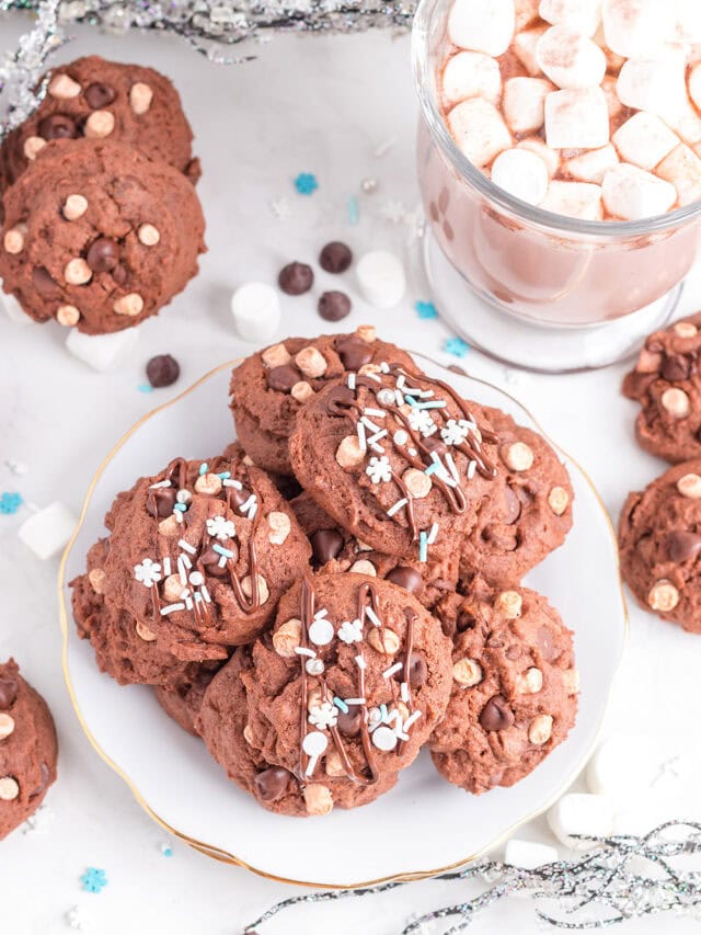 Cookies on a plate next to mug of hot cocoa.