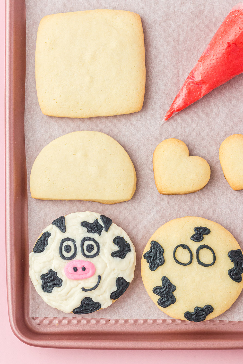Cut out cookies on a baking sheet with icing and one decorated cow cookie and one in the process. 
