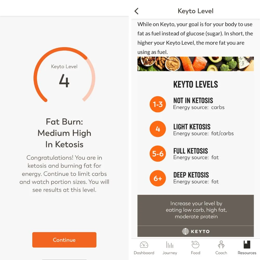Screenshot of Keyto app with keto levels.