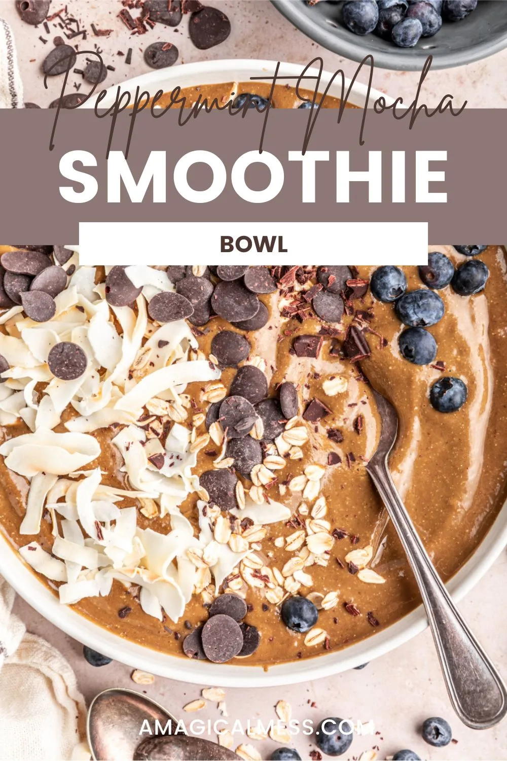 Peppermint mocha smoothie bowl topped with blueberries, chocolate chips, and coconut shavings.