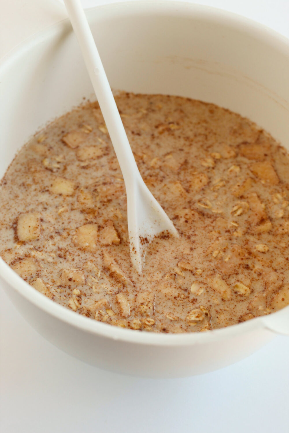 Oats and apples mixed together. 