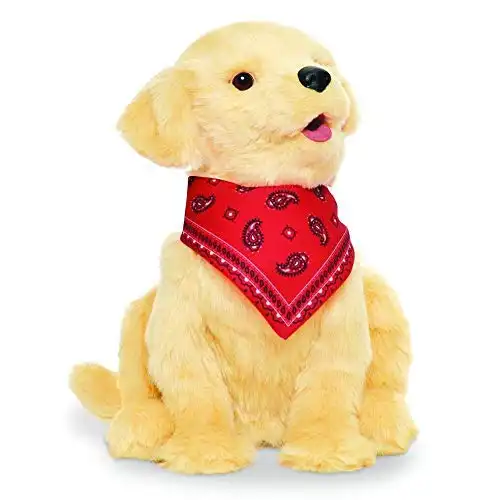 Companion Pets Golden Pup