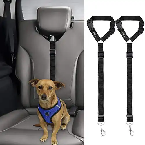 Dog Safety Seat Belt