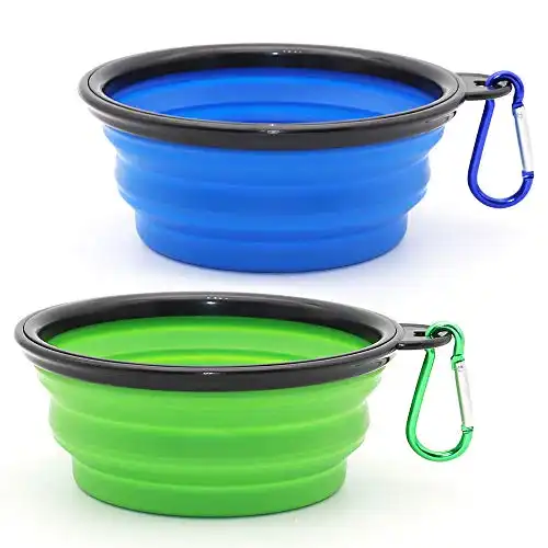 Collapsible Dog Bowl
