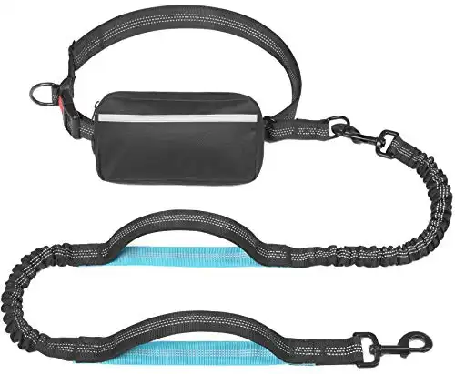 Hands-Free Dog Leash with Zipper Pouch