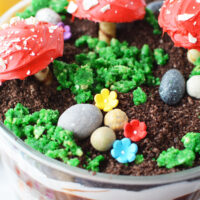 Edible rocks, flowers, and toadstools on top of a trifle.