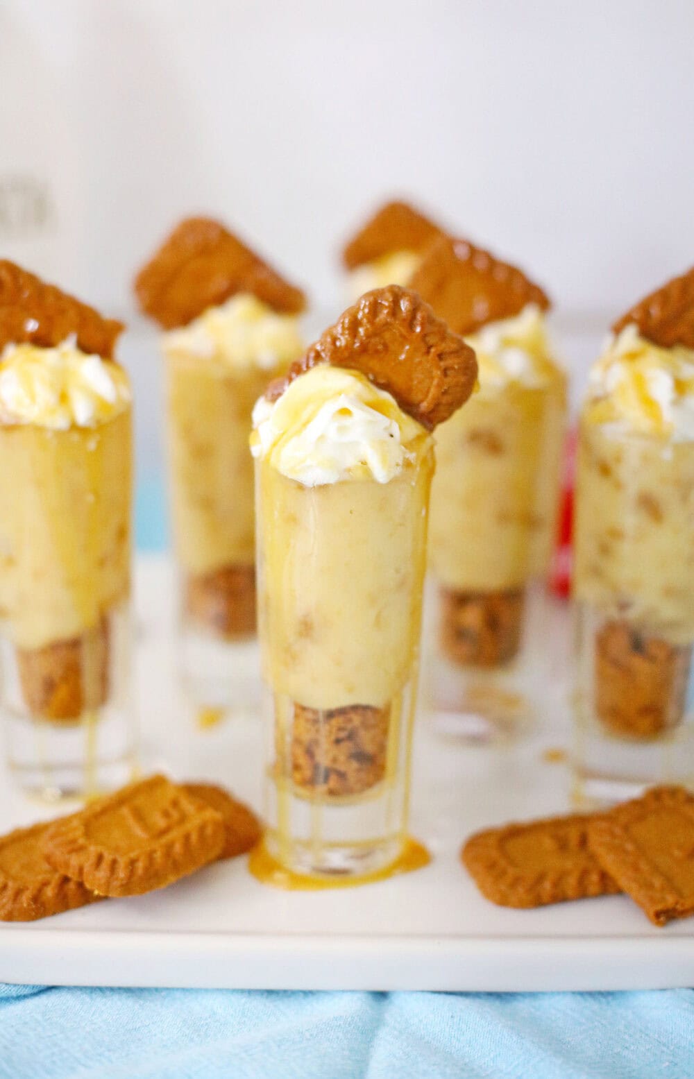 Lotus Biscoff Pudding Recipe, Lotus Biscoff Biscuit & Cream Pudding, Biscoff Pudding, Biscuit Pudding