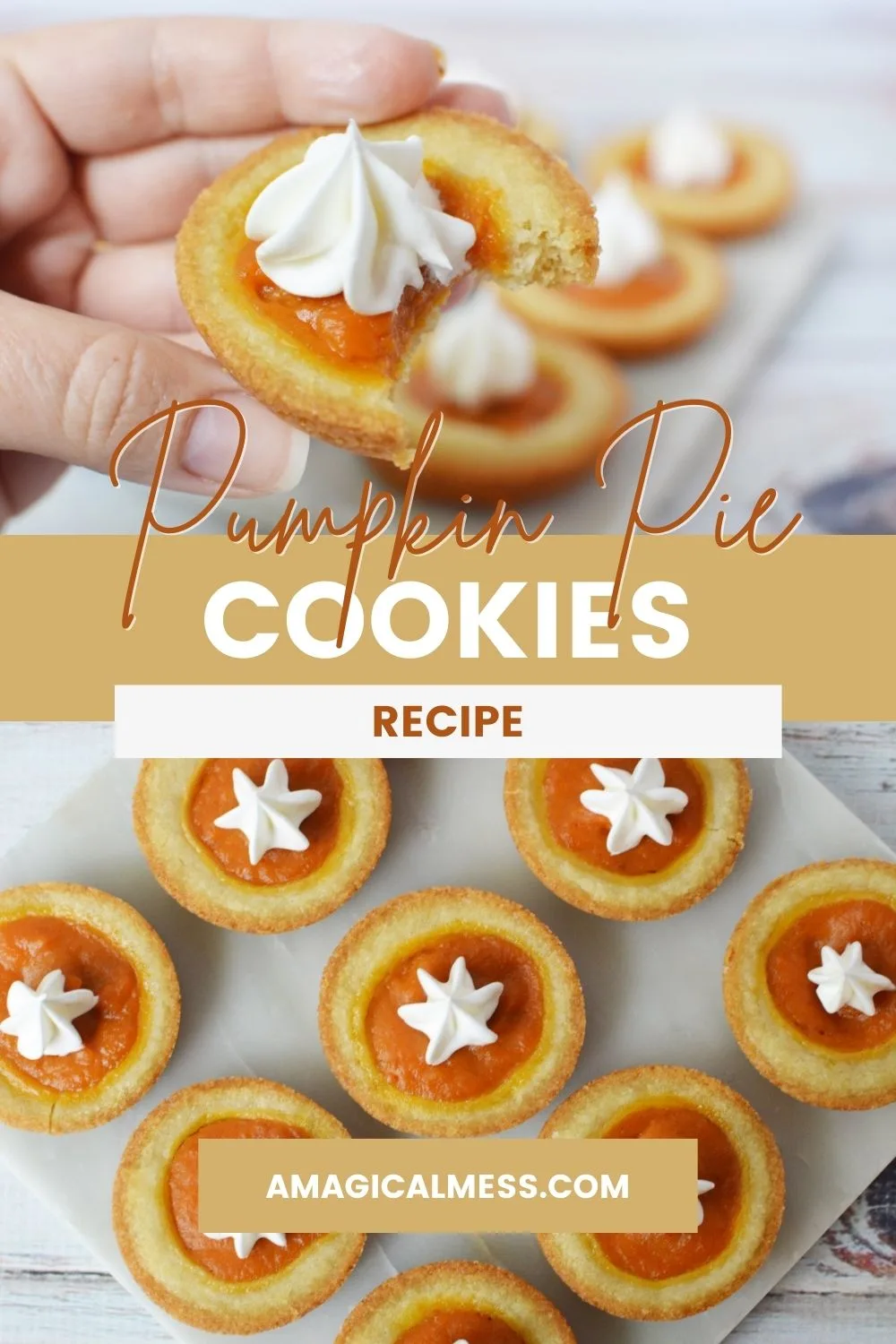 Holding a pumpkin pie cookie with a bite missing and the rest of the cookies below. 
