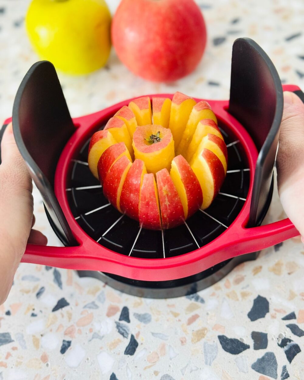 Using an apple slicer to cut a red apple. 