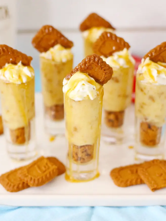 Biscoff Cookie RumChata Pudding Shots Recipe-Cover image