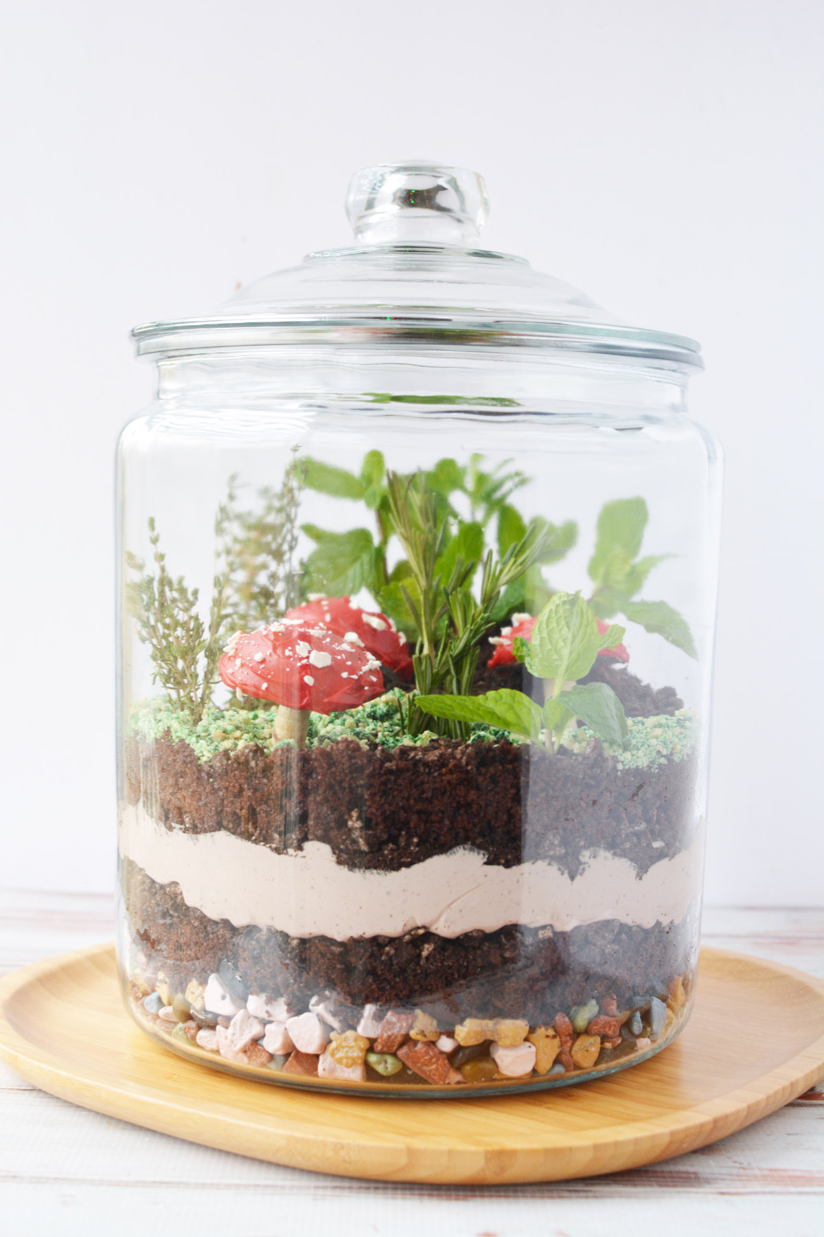 Edible terrarium with layers of whipped cream, cookies, and other candies to look like rocks.
