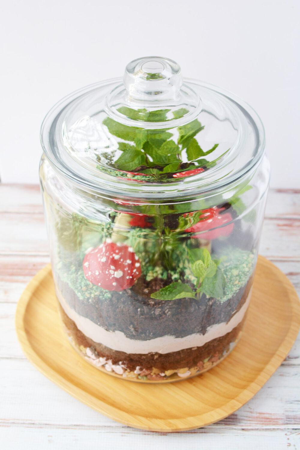Closed glass jar with edible forest inside