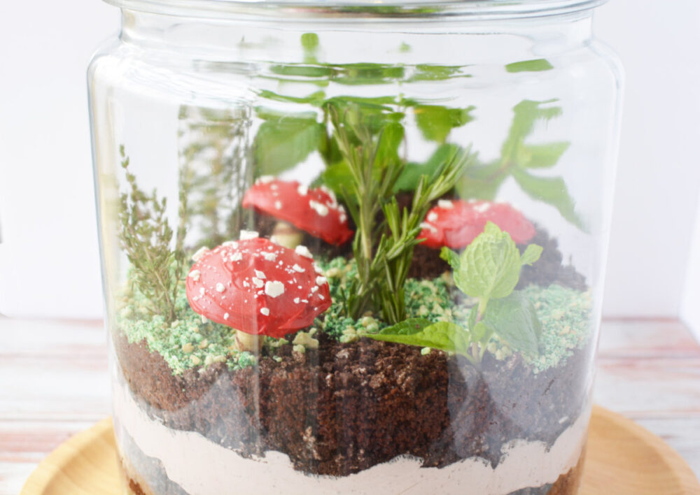 Cookie mushrooms and edible dirt in a glass jar