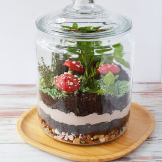 a glass jar with an edible plant inside