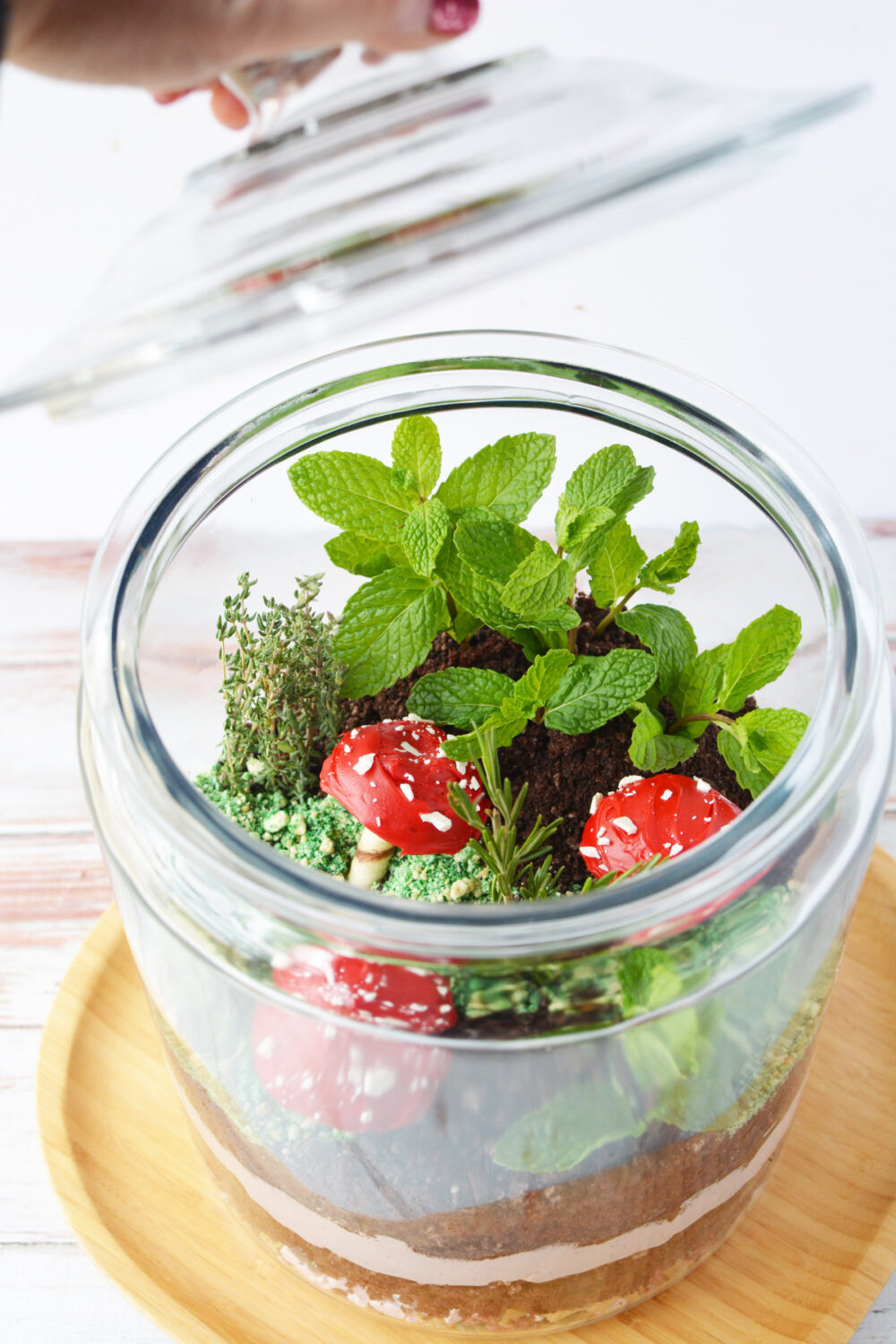Opening the lid of a glass jar with edible terrarium inside. 