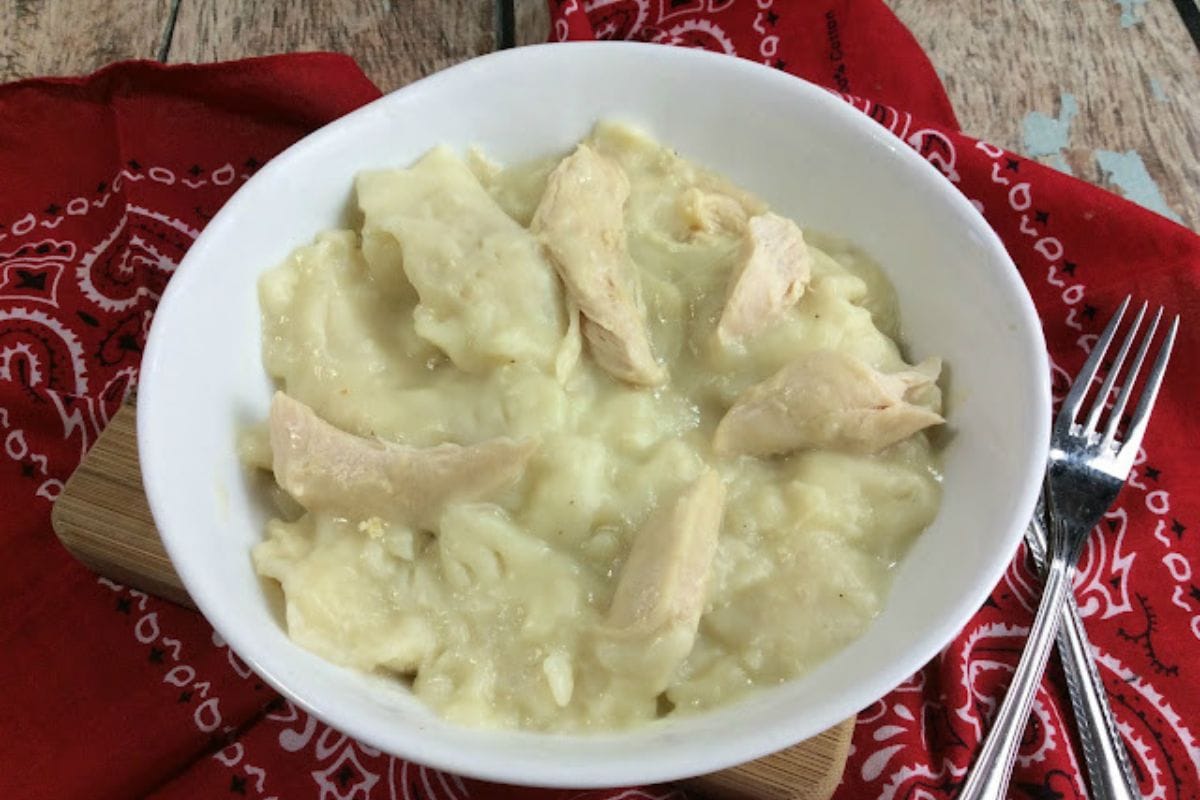 Chicken and dumplings in a bowl. 