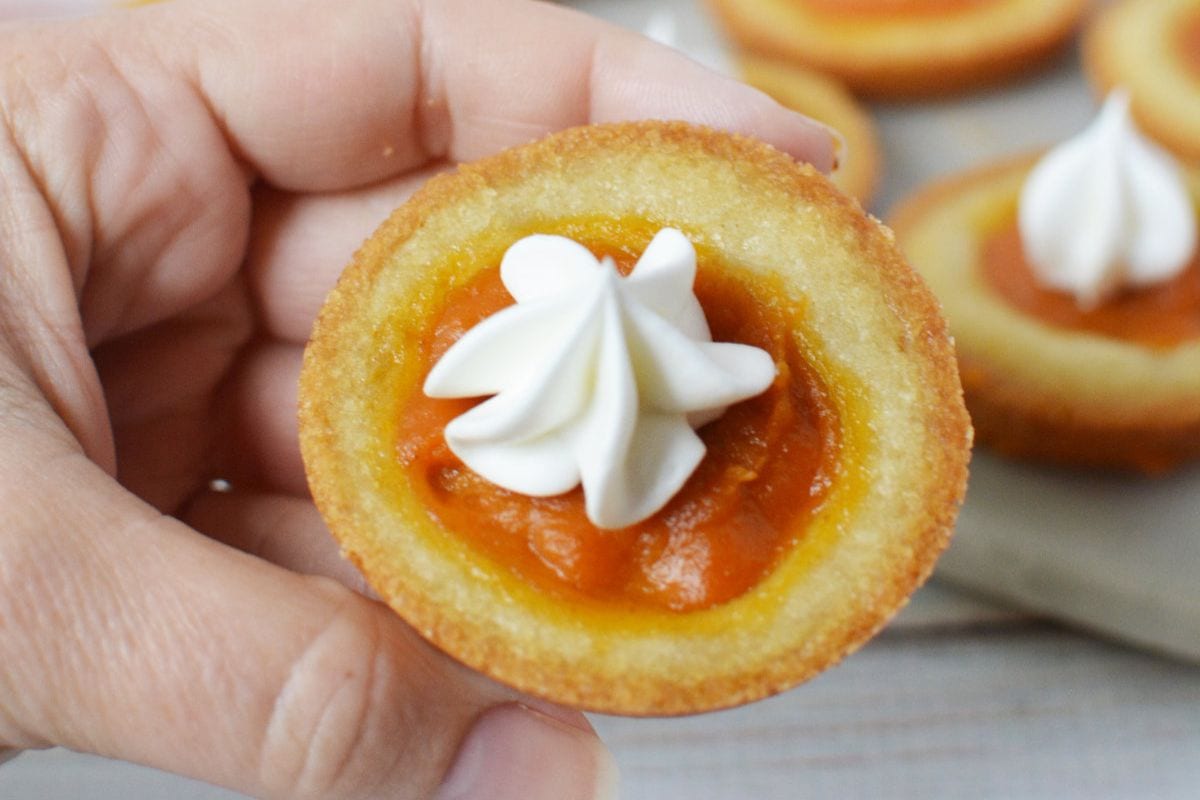 Mini pumpkin pie cookie topped with whipped cream. 