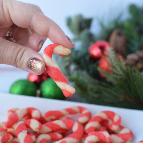 a person holding a candy cane shortbread cookie