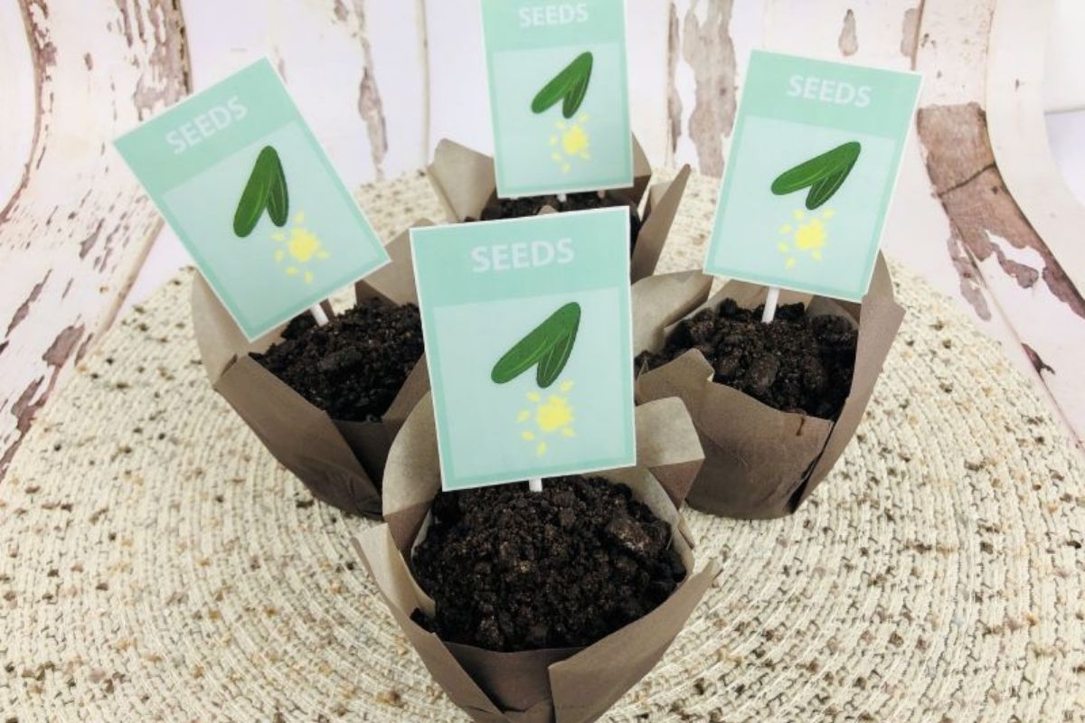 flower pot cupcakes