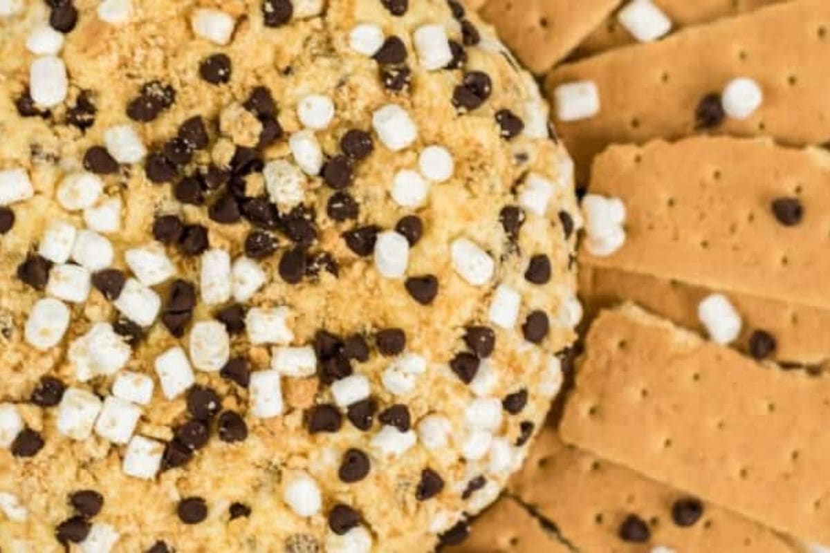 s'more cheeseball with graham crackers