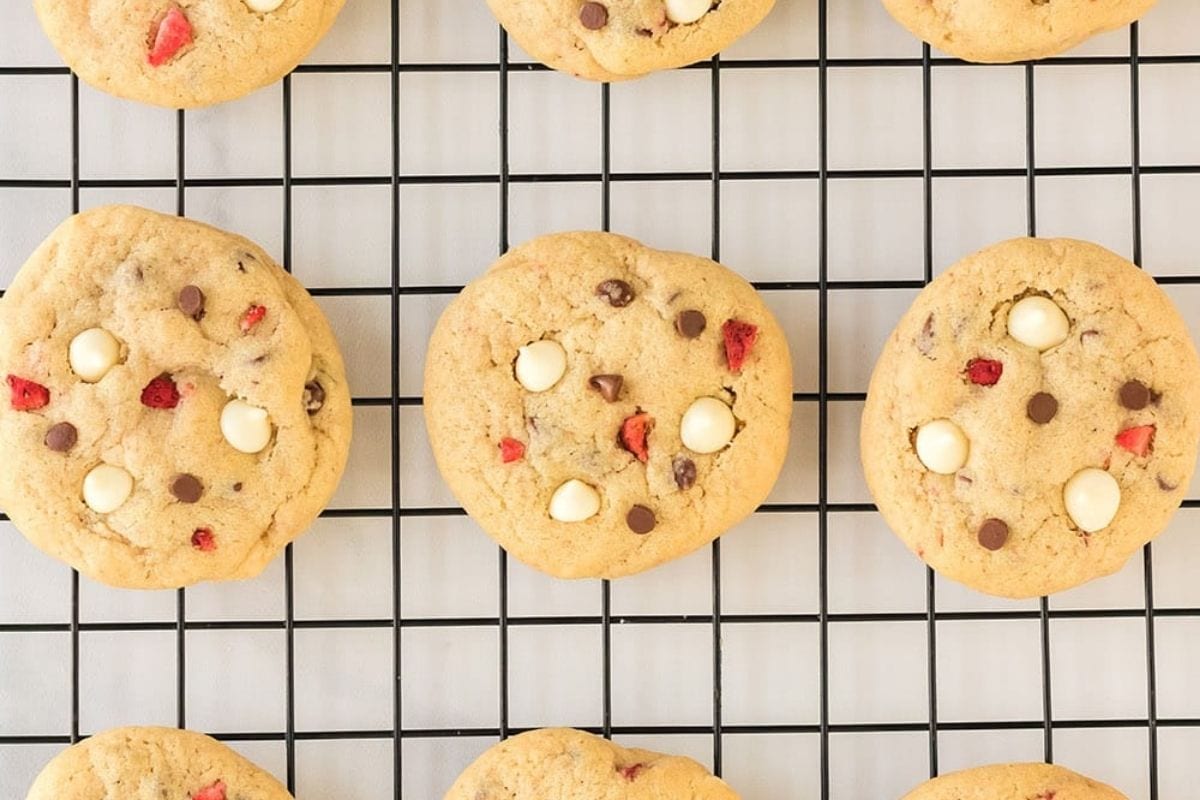 chocolate chip cheesecake cookies