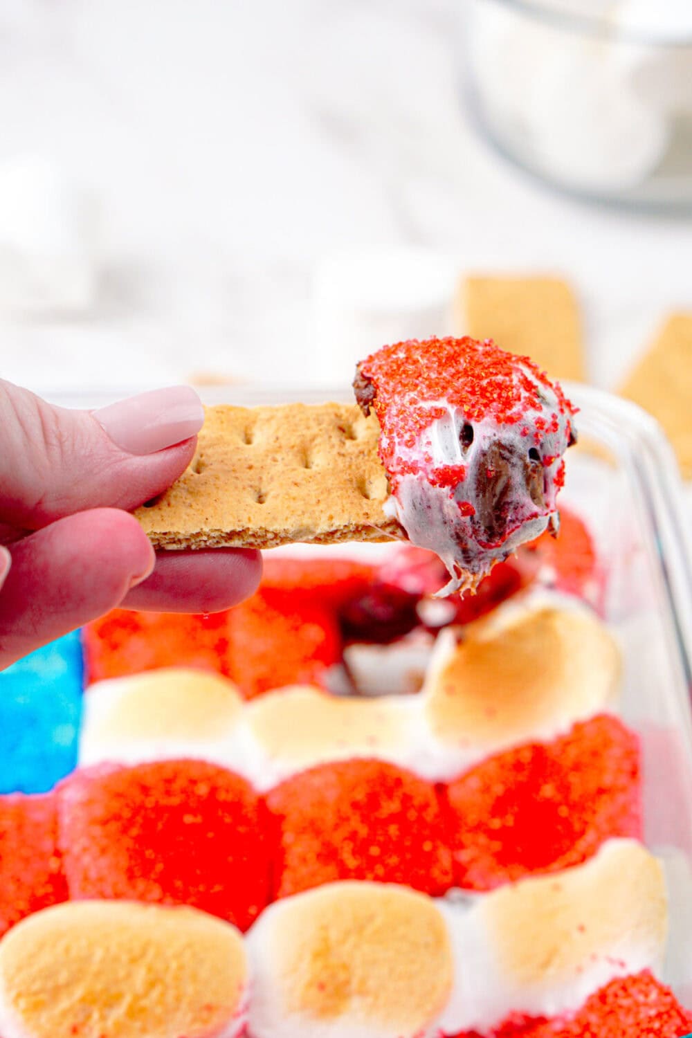 a graham cracker that's been dipped in smores dip