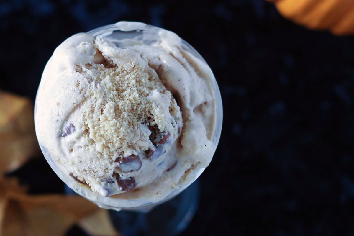 pumpkin ice cream with cinnamon chips