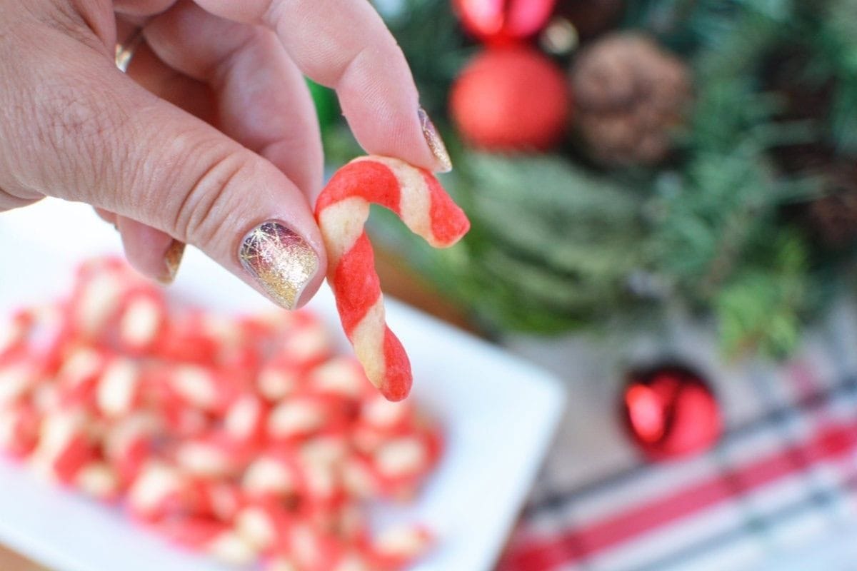 holding a candy cane shortbread bite