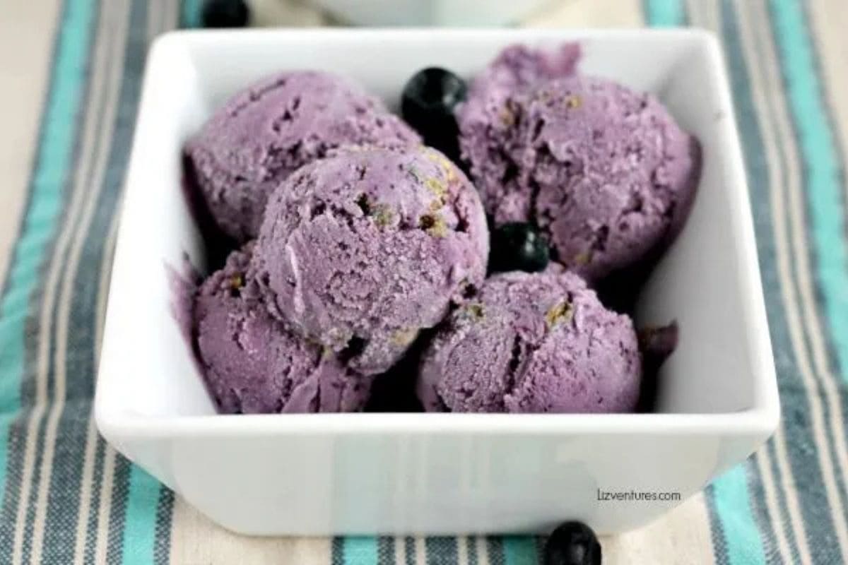 scoops of blueberry ice cream in a dish