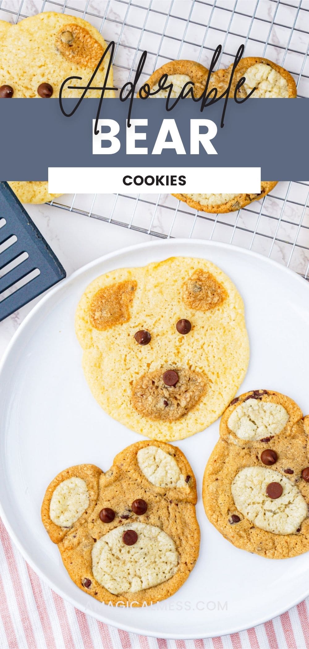 Sugar cookie and chocolate chip cookies that look like bear faces