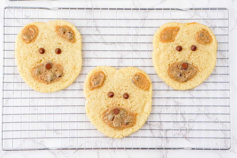 sugar cookie bears