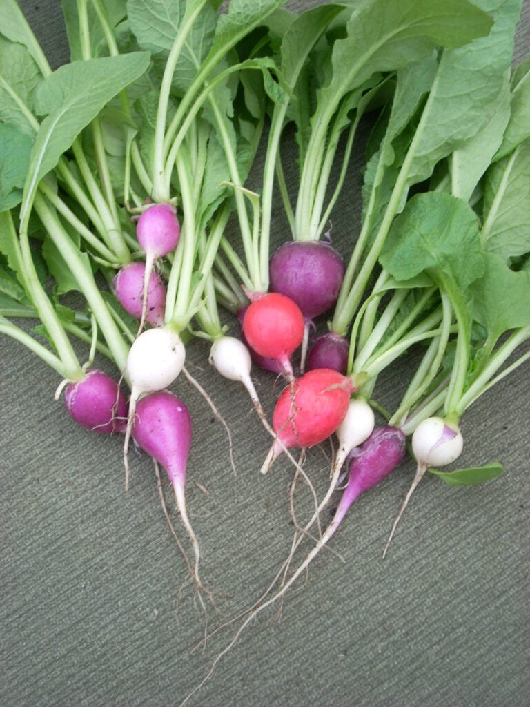 How Seasonal Ingredients Change Traditional Recipes