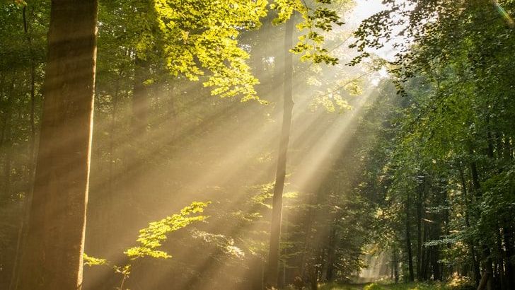 8 Daily Habits That Improve Sleep Quality Naturally